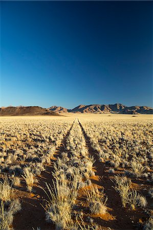 simsearch:841-07782322,k - Namib Desert, Namibia, Africa Photographie de stock - Rights-Managed, Code: 841-08279267