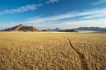 simsearch:841-07782322,k - Animal track through the Namib Desert, Namibia, Africa Photographie de stock - Rights-Managed, Code: 841-08279261
