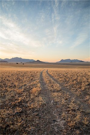 simsearch:841-07782322,k - Little used track through the Namib Desert, Namibia, Africa Photographie de stock - Rights-Managed, Code: 841-08279263