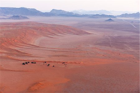 simsearch:841-07782322,k - Namib Desert, Namibia, Africa Photographie de stock - Rights-Managed, Code: 841-08279271