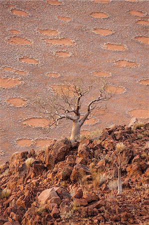 simsearch:841-07782322,k - Namib Desert, Namibia, Africa Photographie de stock - Rights-Managed, Code: 841-08279272
