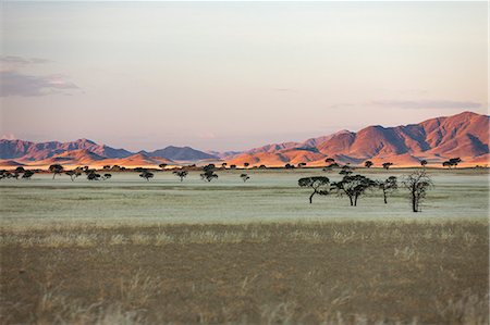 Namib Desert, Namibia, Africa Stock Photo - Rights-Managed, Code: 841-08279273