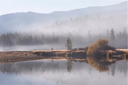 parc national yosemite - Early morning mist over Tuolumne Meadows, Yosemite National Park, UNESCO World Heritage Site, California, United States of America, North America Photographie de stock - Rights-Managed, Code: 841-08279390