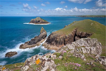 padstow - Dramatic Cornish coastline in The Rumps near Padstow, Cornwall, England, United Kingdom, Europe Foto de stock - Con derechos protegidos, Código: 841-08279413