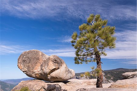 simsearch:841-08279405,k - Lone pine tree and boulder on Taft Point above Yosemite Valley, UNESCO World Heritage Site, California, United States of America, North America Photographie de stock - Rights-Managed, Code: 841-08279422