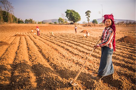 Pa-O hill tribe, farming near Inle Lake and Kalaw, Shan State, Myanmar (Burma), Asia Stock Photo - Rights-Managed, Code: 841-08357232