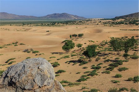 simsearch:841-05796497,k - View over Mongol Els sand dunes on a summer morning, Khogno Khan Uul Nature Reserve, Gurvanbulag, Bulgan province, Northern Mongolia, Central Asia, Asia Fotografie stock - Rights-Managed, Codice: 841-08357324