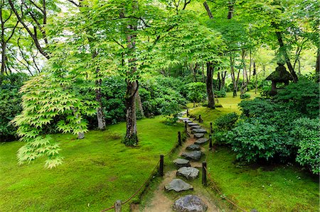 simsearch:841-08357618,k - Okochi Sanso Villa garden, stone path through vibrant leafy trees with moss covered ground in summer, Arashiyama, Kyoto, Japan, Asia Foto de stock - Con derechos protegidos, Código: 841-08357341