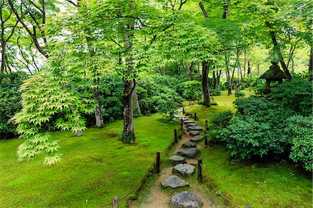 Okochi Sanso Villa garden, stone path through vibrant leafy trees with moss covered ground in summer, Arashiyama, Kyoto, Japan, Asia Stock Photo - Rights-Managed, Code: 841-08357341