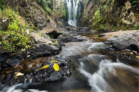 river rock and water falls - Piroa Falls, Waipu, Northland, North Island, New Zealand, Pacific Stock Photo - Rights-Managed, Code: 841-08357514