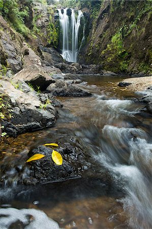 Piroa Falls, Waipu, Northland, North Island, New Zealand, Pacific Foto de stock - Con derechos protegidos, Código: 841-08357513