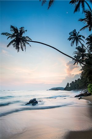 Mirissa Beach, Mirissa, Matara District, Southern Province, Sri Lanka, Asia Photographie de stock - Rights-Managed, Code: 841-08357568