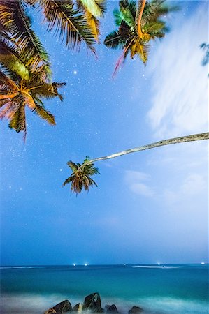 dreamy starry night - Mires Beach under stars, Mirissa, Sri Lanka, Asia Photographie de stock - Rights-Managed, Code: 841-08357569