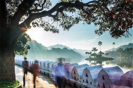 palm path - Kandy Lake, Kandy, Sri Lanka, Asia Stock Photo - Rights-Managed, Code: 841-08357575