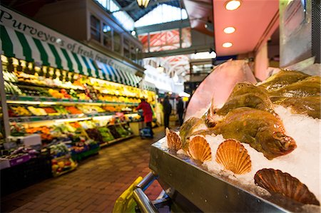 fish ice - Covered market, Oxford, Oxfordshire, England, United Kingdom, Europe Stock Photo - Rights-Managed, Code: 841-08357600