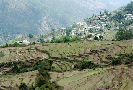 simsearch:841-03065197,k - Terraced ricefields near Kuruthang, on the Puna Tsang Chu valley beside the road from Thimpu to Punakha, Bhutan, Asia Photographie de stock - Rights-Managed, Code: 841-08357655