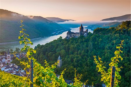 river trees - Bacharach on the River Rhine, Rhineland Palatinate, Germany, Europe Stock Photo - Rights-Managed, Code: 841-08357699