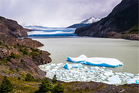 simsearch:841-08421052,k - Icebergs in Grey Lake (Lago Grey) with Grey Glacier (Glaciar Grey) behind, Torres del Paine National Park, Patagonia, Chile, South America Photographie de stock - Rights-Managed, Code: 841-08421012