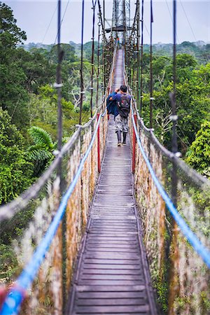 people of the amazon rainforest - Jungle Canopy Walk in Amazon Rainforest at Sacha Lodge, Coca, Ecuador, South America Stock Photo - Rights-Managed, Code: 841-08421069