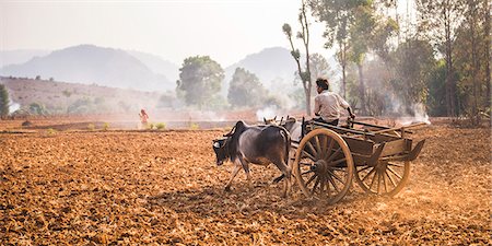 Farming between Inle Lake and Kalaw, Shan State, Myanmar (Burma), Asia Stock Photo - Rights-Managed, Code: 841-08421135