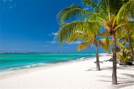 Turquoise sea and white palm fringed beach, Le Morne, Black River, Mauritius, Indian Ocean, Africa Stock Photo - Rights-Managed, Code: 841-08421279