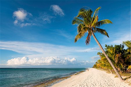 Turquoise sea and white palm fringed beach, Le Morne, Black River, Mauritius, Indian Ocean, Africa Stock Photo - Rights-Managed, Code: 841-08421282