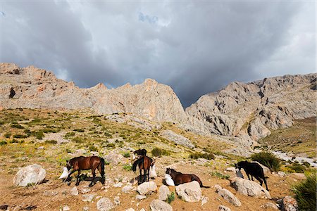 Ala Daglar National Park, Cappadocia, Anatolia, Turkey, Asia Minor, Eurasia Stock Photo - Rights-Managed, Code: 841-08421353