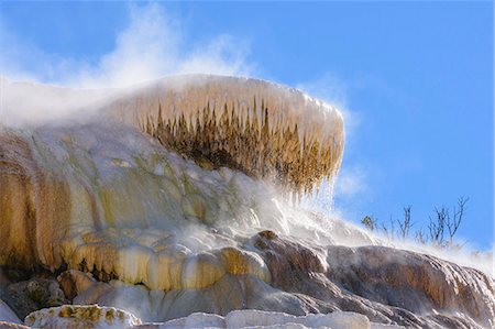 Palette Spring, Travertine Terraces, Mammoth Hot Springs, Yellowstone National Park, UNESCO World Heritage Site, Wyoming, United States of America, North America Photographie de stock - Rights-Managed, Code: 841-08421425