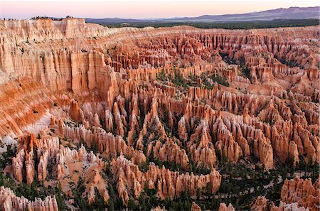 Bryce Canyon National Park Utah, United States of America, North America Stock Photo - Rights-Managed, Code: 841-08421459
