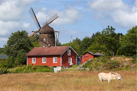 Sunvara Kvarn windmill, Sunvara, near Varobacka, Halland, Southwest Sweden, Sweden, Scandinavia, Europe Photographie de stock - Rights-Managed, Code: 841-08421516