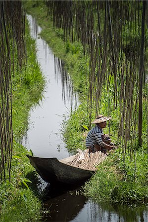 simsearch:841-06805756,k - Floating Gardens, Inle Lake, Shan State, Myanmar (Burma), Asia Fotografie stock - Rights-Managed, Codice: 841-08438499