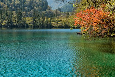 sichuan province - Panda Lake, Jiuzhaigou National Park, UNESCO World Heritage Site, Sichuan Province, China, Asia Photographie de stock - Rights-Managed, Code: 841-08438564