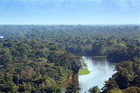 View of rainforest and rivers in Tortuguero National Park, Limon, Costa Rica, Central America Foto de stock - Con derechos protegidos, Código: 841-08438581