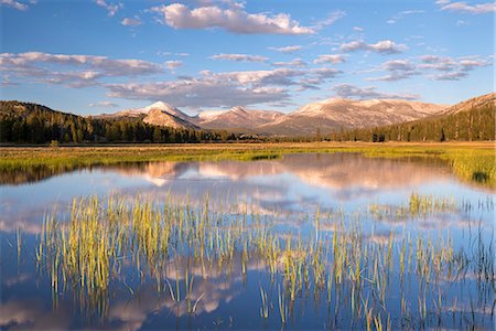 simsearch:841-08438798,k - Seasonal pond on Tuolumne Meadows in Yosemite National Park, UNESCO World Heritage Site, California, United States of America, North America Photographie de stock - Rights-Managed, Code: 841-08438772