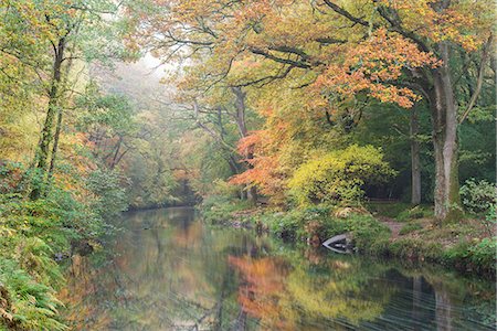 simsearch:841-05795956,k - Mist and autumnal colours beside the River Teign near Fingle Bridge, Dartmoor, Devon, England, United Kingdom, Europe Foto de stock - Con derechos protegidos, Código: 841-08438799