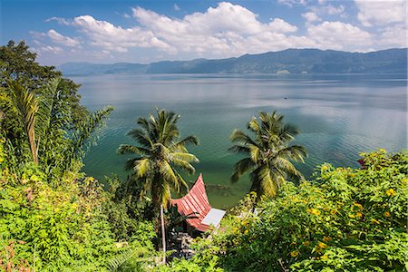 Batak Houses at Lake Toba (Danau Toba), the largest volcanic lake in the world, North Sumatra, Indonesia, Southeast Asia, Asia Foto de stock - Con derechos protegidos, Código: 841-08568803