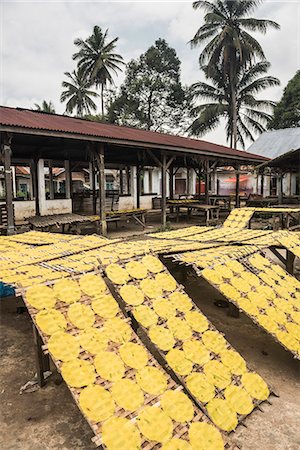 drying in the sun - Krupuk (Kroepoek) drying in the sun, Bukittinggi, West Sumatra, Indonesia, Southeast Asia, Asia Foto de stock - Con derechos protegidos, Código: 841-08568810