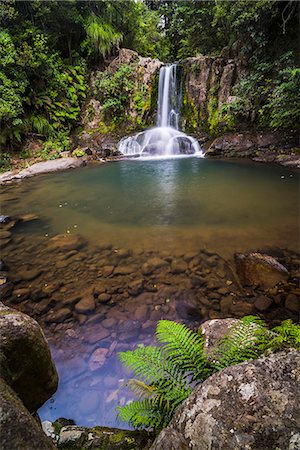 Waiau Falls, a waterfall on Road 309, Coromandel Peninsula, North Island, New Zealand, Pacific Stock Photo - Rights-Managed, Code: 841-08568827