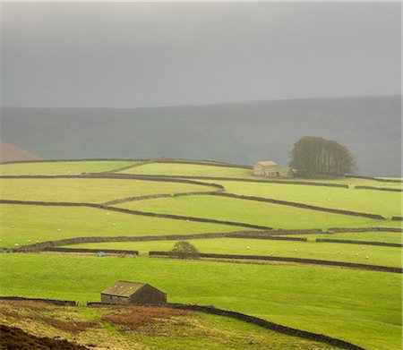 Mist above Bolton Abbey, Yorkshire Dales, Yorkshire, England, United Kingdom, Europe Stock Photo - Rights-Managed, Code: 841-08568871