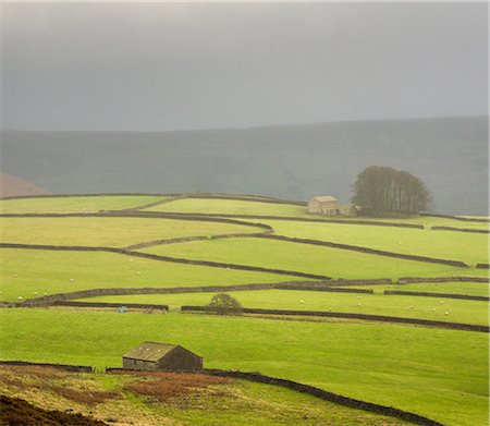 simsearch:841-08279433,k - Mist above Bolton Abbey, Yorkshire Dales, Yorkshire, England, United Kingdom, Europe Photographie de stock - Rights-Managed, Code: 841-08568871