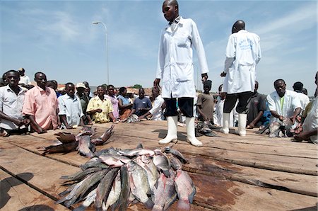 Gabba fisherfolk and customers buying freshly caught fish on the jetty, Uganda, Africa Photographie de stock - Rights-Managed, Code: 841-08568928