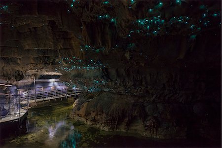 Glow worms in Waitomo Caves, Waikato Region, North Island, New Zealand, Pacific Stock Photo - Rights-Managed, Code: 841-08645289