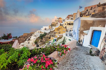 Bougainvillea flowers and typical houses on the Aegean Sea at sunrise, Oia, Santorini,  Cyclades, Greek Islands, Greece, Europe Photographie de stock - Rights-Managed, Code: 841-08645313