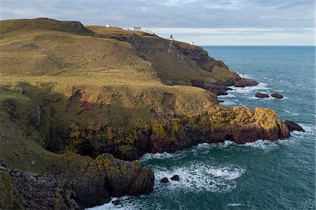 simsearch:841-06449124,k - The coastline at St. Abb's Head Nature Reserve, Berwickshire, Scotland, United Kingdom, Europe Stock Photo - Rights-Managed, Code: 841-08645525