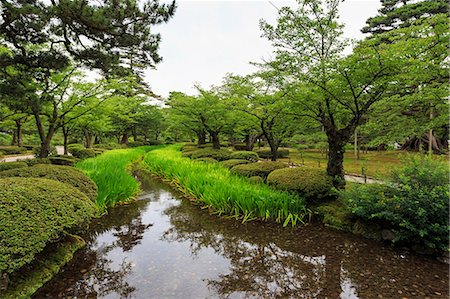 Stream with lush greenery and reflections, Kenrokuen, one of Japan's most beautiful landscape gardens in summer, Kanazawa, Japan, Asia Stock Photo - Rights-Managed, Code: 841-08663468
