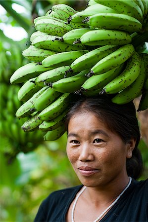 A woman collects bananas and balances them on her head to carry, near Manipur, India, Asia Photographie de stock - Rights-Managed, Code: 841-08663557