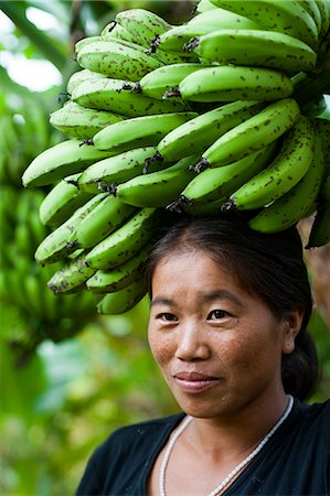 single banana - A woman collects bananas and balances them on her head to carry, near Manipur, India, Asia Stock Photo - Rights-Managed, Code: 841-08663557