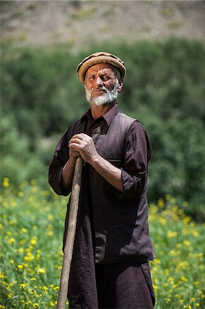 farmer in wheat field - A farmer standing in a wheat field mixed with rapeseed oil in the Panjshir Valley, Afghanistan, Asia Foto de stock - Con derechos protegidos, Código: 841-08663572