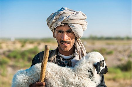 A Kuchi shepherd near Herat in Afghanistan returns a lost lamb back to its flock, Afghanistan, Asia Photographie de stock - Rights-Managed, Code: 841-08663583