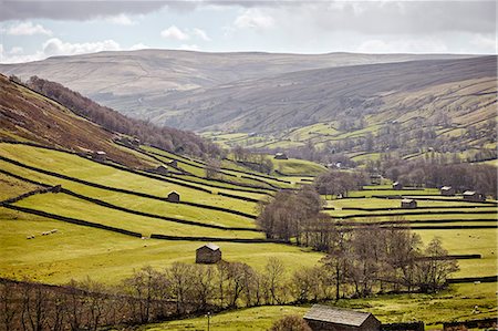 simsearch:841-07590527,k - Swaledale, North Yorkshire, Yorkshire, England, United Kingdom, Europe Stock Photo - Rights-Managed, Code: 841-08663637